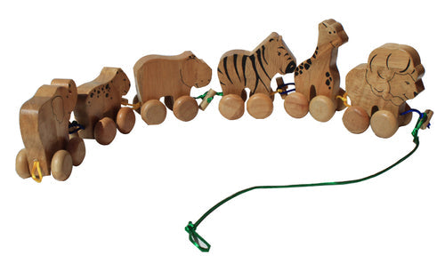 QToys Australia (USA) Nature Wonder Play Set